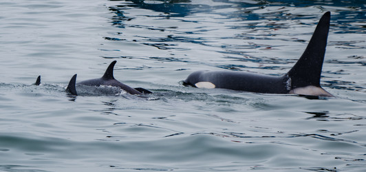 Similar image 22228807