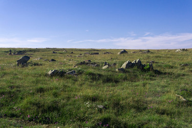 Similar image 22228825