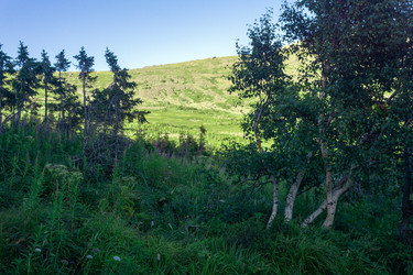 Similar image 22228827