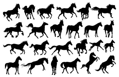 Similar image 22228270