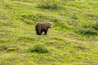 Similar image 22228832