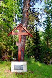 Similar image 22228834