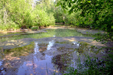 Similar image 22228836