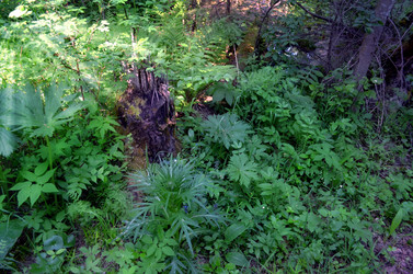 Similar image 22228837