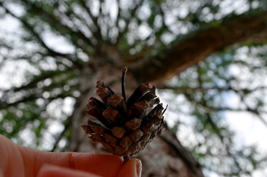 Similar image 22228840