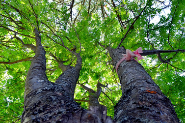 Similar image 22228842