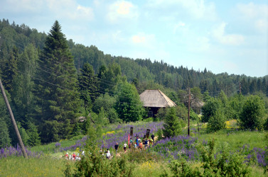 Similar image 22228844