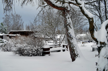 Similar image 22228847