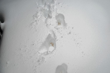 Similar image 22228849