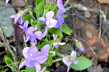 Similar image 22229122