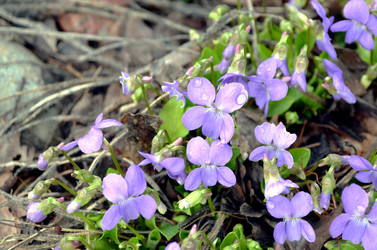 Similar image 22229123