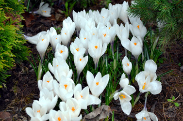 Similar image 22229124