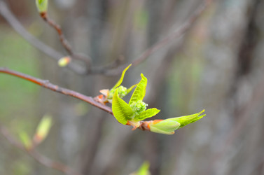 Similar image 22229125