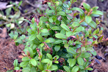 Similar image 22229126