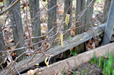 Similar image 22229127