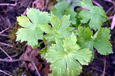 Similar image 22229128