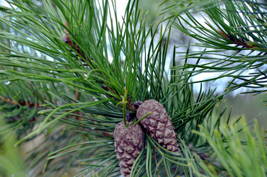 Similar image 22229129