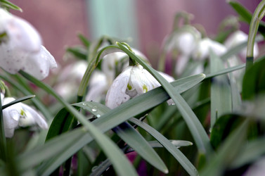 Similar image 22229130