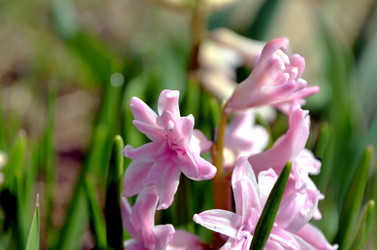 Similar image 22229131