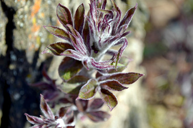 Similar image 22229132