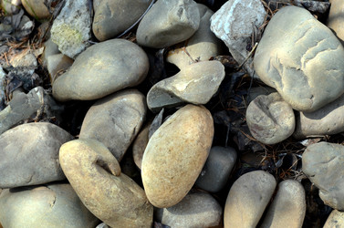 Similar image 22229134