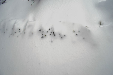 Similar image 22229137