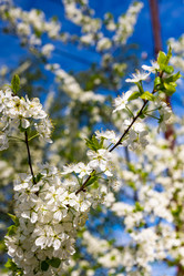 Similar image 22228521