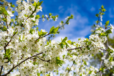 Similar image 22228522