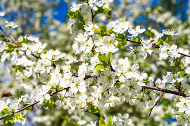 Similar image 22228523