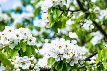 Similar image 22228524