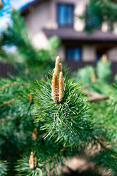 Similar image 22228526