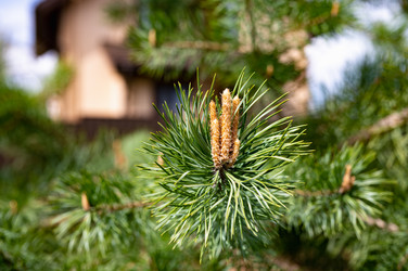 Similar image 22228527