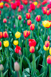 Similar image 22228529