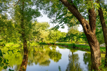 Similar image 22228532