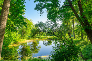 Similar image 22228537