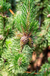 Similar image 22228546