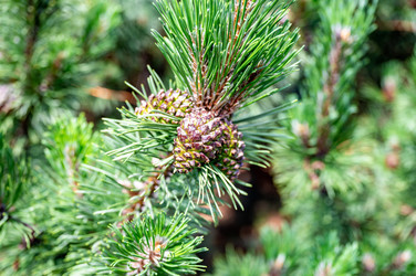 Similar image 22228547