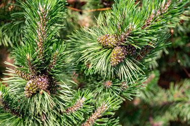 Similar image 22228548