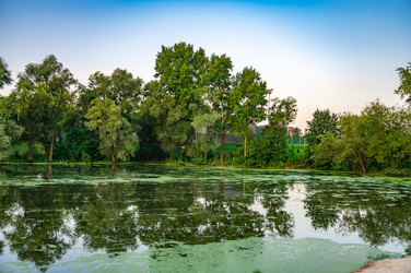 Similar image 22228554