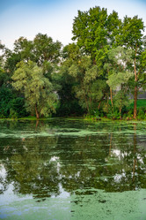 Similar image 22228555