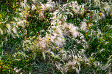 Similar image 22228556