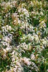 Similar image 22228557