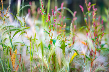 Similar image 22228565