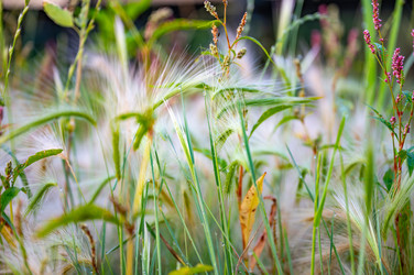 Similar image 22228566