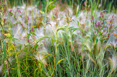 Similar image 22228567