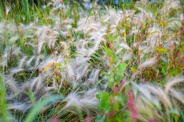 Similar image 22228568