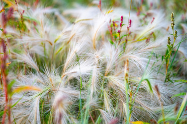 Similar image 22228569