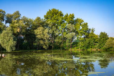 Similar image 22228576