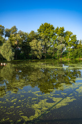 Similar image 22228577