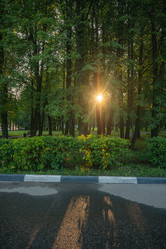 Similar image 22228581